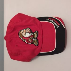 Disneyland Resort Grumpy Hat, Adult,